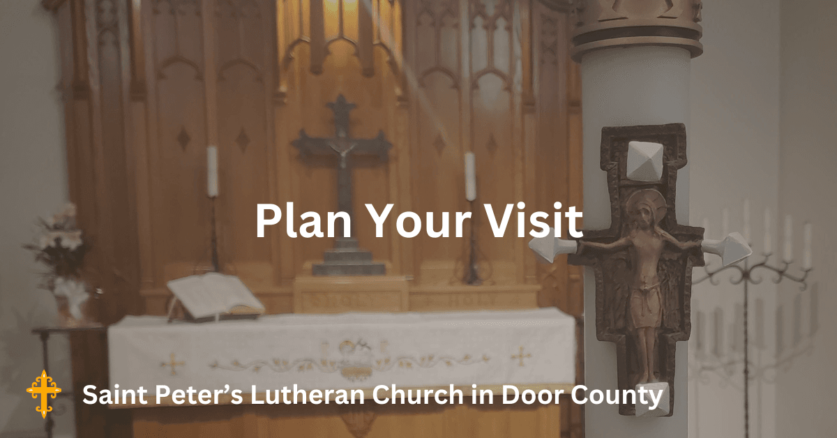 Plan your visit