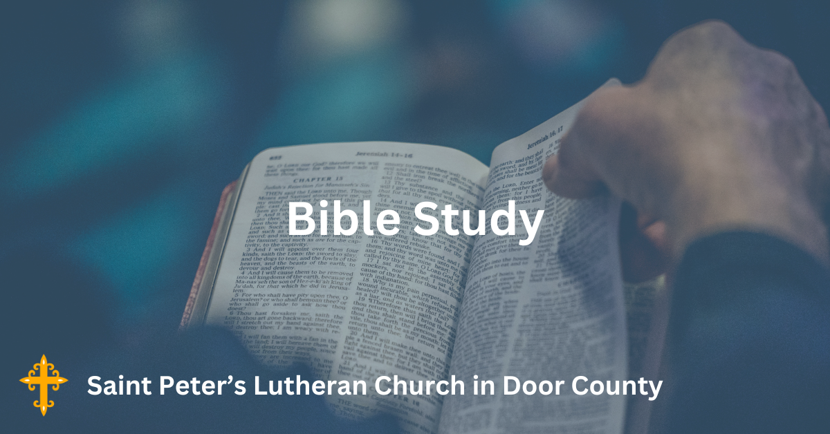 Bible Study