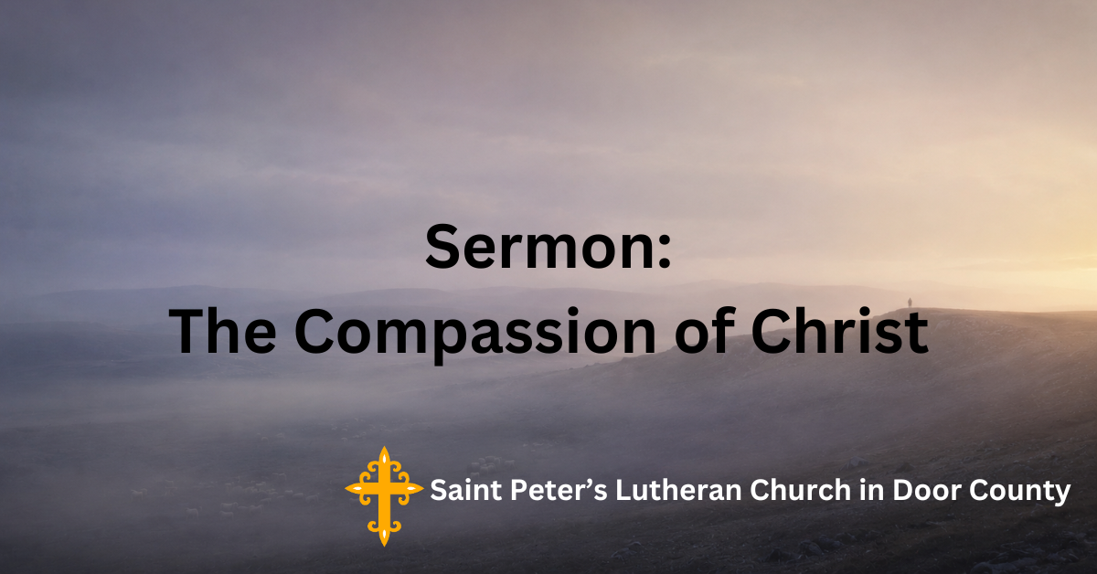 Sermon: The Compassion of Christ